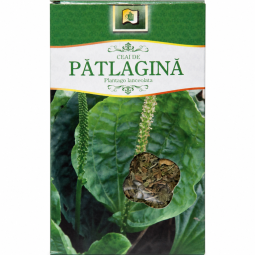 Ceai patlagina 50g - STEFMAR