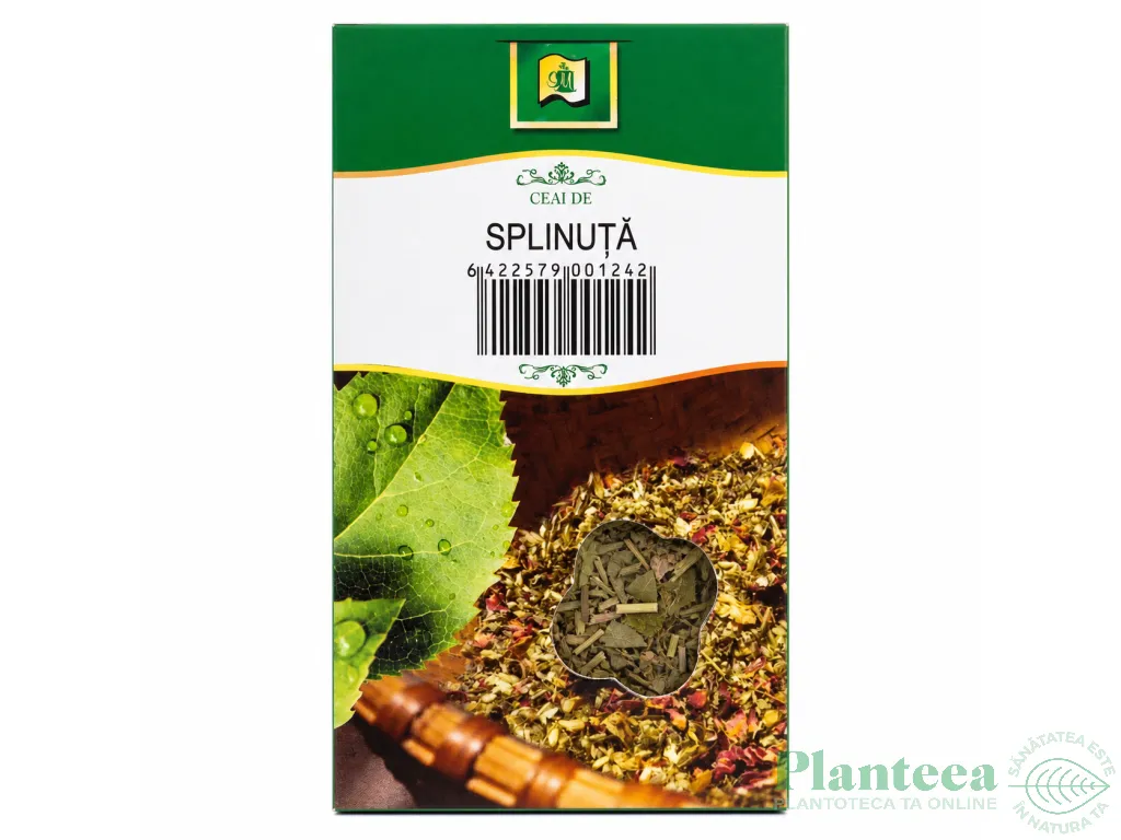 Ceai splinuta 50g - STEFMAR
