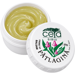 Unguent patlagina 20g - CETA