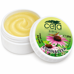 Unguent echinaceea 20g - CETA
