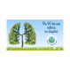 Gel respiratie usoara 40g - CETA