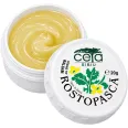 Unguent rostopasca 20g - CETA