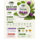 Unguent brusture 40g - CETA