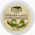Unguent codita soricelului 20g - CETA