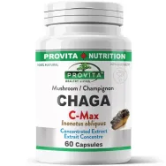 Protocol Cancer hepatic 2 [cand se administreaza chimioterapia!] 5b - PROVITA