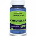 Chlorella 410mg 60cps - HERBAGETICA