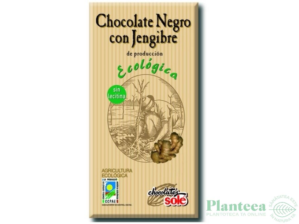Ciocolata neagra 56% ghimbir eco 100g - SOLE