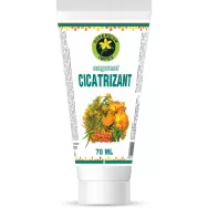 Unguent cicatrizant 70ml - HYPERICUM PLANT