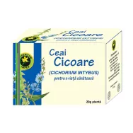 Ceai cicoare 20g - HYPERICUM PLANT