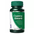 Ciuperca tibetana 60cps - DVR PHARM