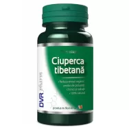 Ciuperca tibetana 60cps - DVR PHARM