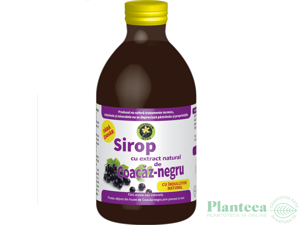 Sirop coacaze negre stevie fara zahar 250ml - HYPERICUM PLANT