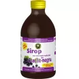 Sirop coacaze negre stevie fara zahar 250ml - HYPERICUM PLANT