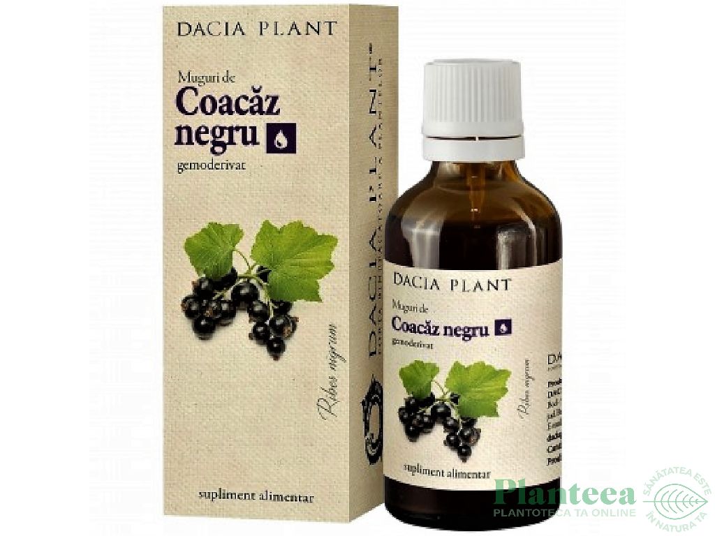 Gemoderivat coacaz negru muguri 50ml - DACIA PLANT