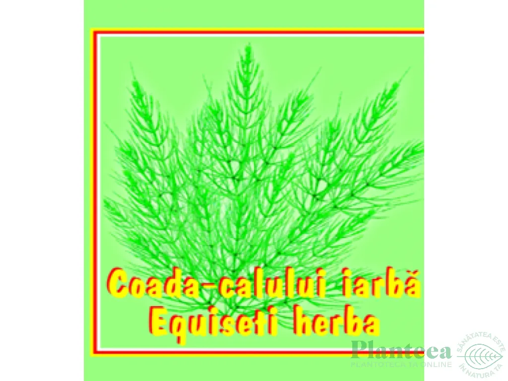 Ceai coada calului 50g - CYANI