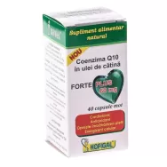 Coenzima Q10 ulei catina forte plus 60mg 40cps - HOFIGAL