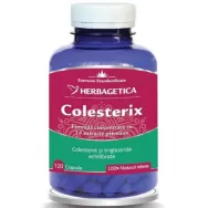 Colesterix 120cps - HERBAGETICA