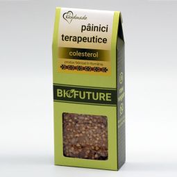 Painici crocante terapeutice colesterol 100g - BIOFUTURE