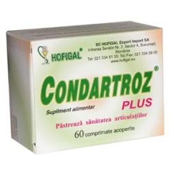 Condartroz plus 60cp - HOFIGAL