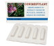 Supozitoare Conimed Plant 10x1,5g - ELZIN PLANT