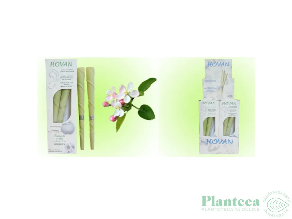 Conuri igiena urechi adulti floare mar salbatic 2b - HOVAN
