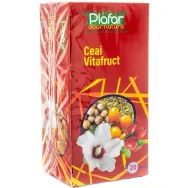 Ceai VitaFruct 20dz - PLAFAR
