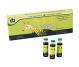 Panax ginseng 10fl - YONG KANG