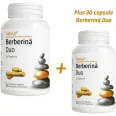 Berberina duo piperina 500mg 60cps - ALEVIA