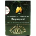 Ceai Respiroplant [afectiuni respiratorii] 165g - BONCHIS