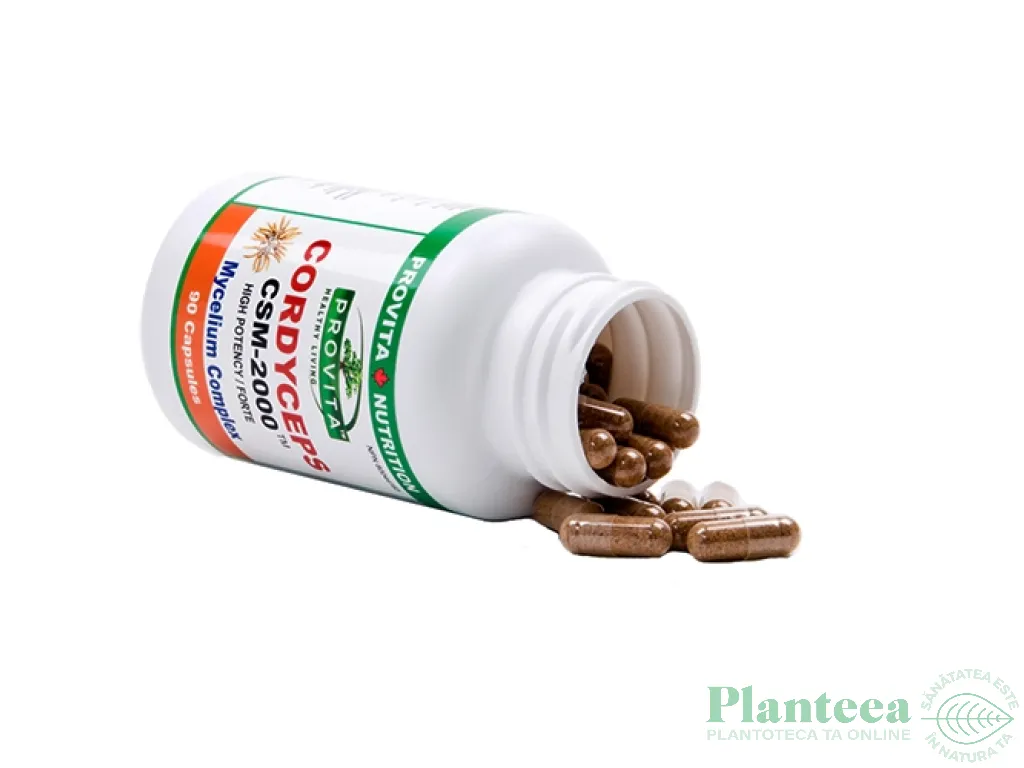 Cordyceps CSM 2000 90cps - PROVITA NUTRITION