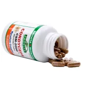 Cordyceps CSM 2000 90cps - PROVITA NUTRITION