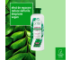 Sampon reparator 5in1 ceai verde betaina 400ml - COSMETIC PLANT