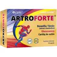 Artroforte 30cps - COSMO PHARM