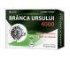 Branca ursului 4000 30cps - TOTAL CARE