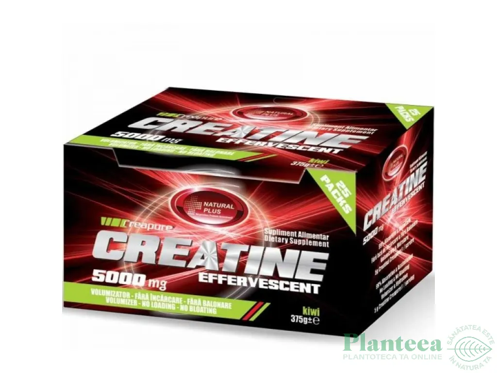 Creatina 5000mg 1pl - NATURAL PLUS