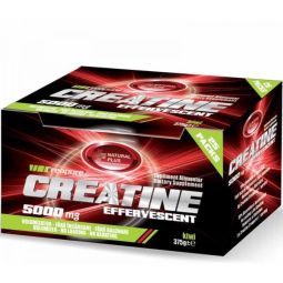 Creatina 5000mg 1pl - NATURAL PLUS