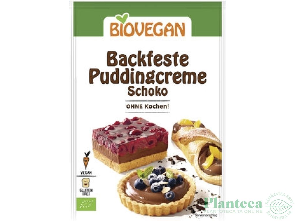 Praf budinca cacao eco 55g - BIOVEGAN