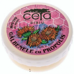 Unguent galbenele propolis 20g - CETA SIBIU