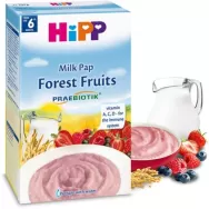 Pasat lapte fructe padure Praebiotik bebe +6luni 250g - HIPP