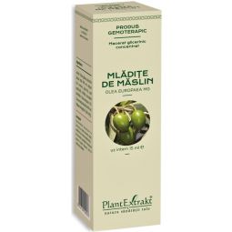 Gemoderivat concentrat maslin mladite 15ml - PLANTEXTRAKT