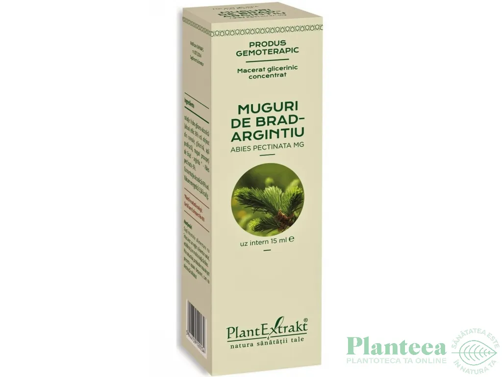 Gemoderivat concentrat brad muguri 15ml - PLANTEXTRAKT