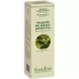 Gemoderivat concentrat brad muguri 15ml - PLANTEXTRAKT