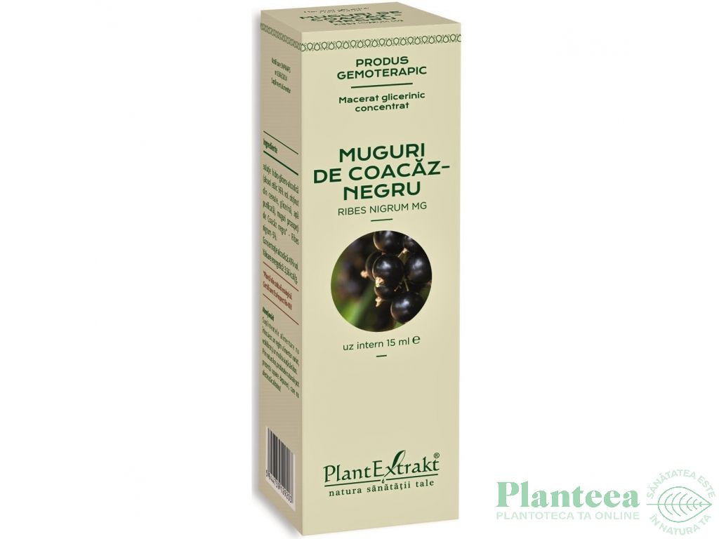 Gemoderivat concentrat coacaz negru muguri 15ml - PLANTEXTRAKT