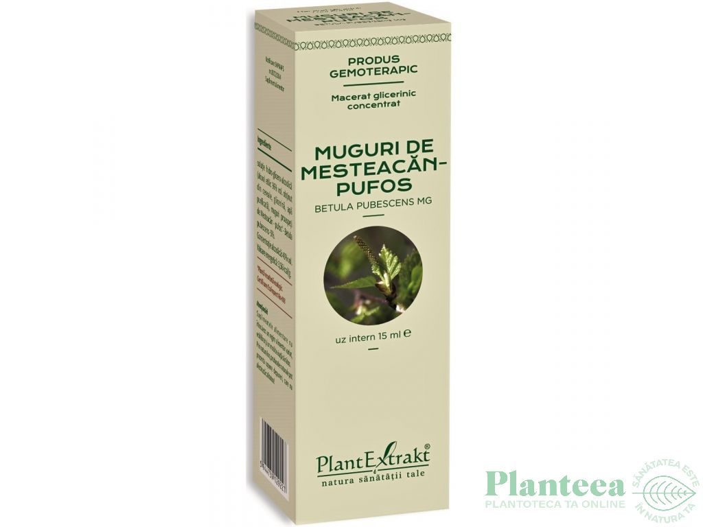 Gemoderivat concentrat mesteacan pufos muguri 15ml - PLANTEXTRAKT