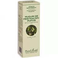 Gemoderivat concentrat mesteacan pufos muguri 15ml - PLANTEXTRAKT