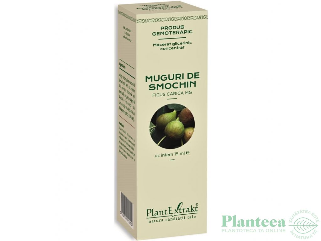 Gemoderivat concentrat smochin muguri 15ml - PLANTEXTRAKT