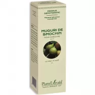 Gemoderivat concentrat smochin muguri 15ml - PLANTEXTRAKT