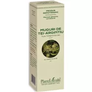 Gemoderivat concentrat tei argintiu muguri 15ml - PLANTEXTRAKT