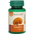 Ganoderma 60cp - DACIA PLANT