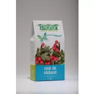 Ceai paducel fructe 80g - PLAFAR